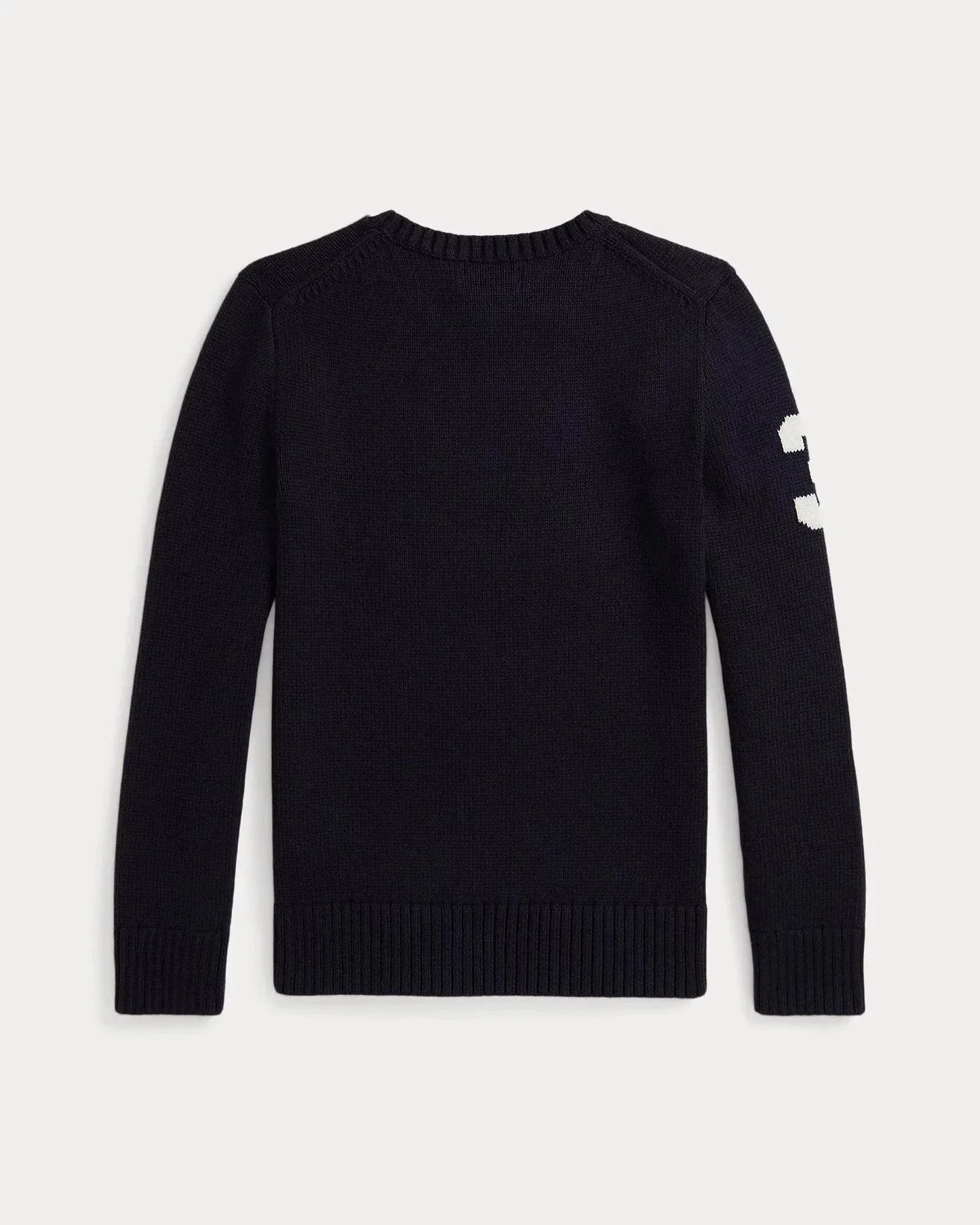 Sweater Bear | Polo Crewneck Sweater Navy Ralph Lauren Elorien 